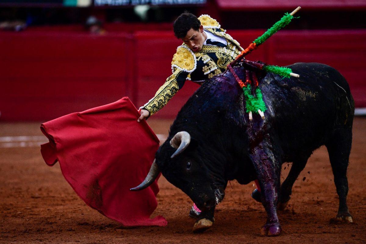 Juez suspende provisionalmente corridas de toros en la mayor plaza de México
