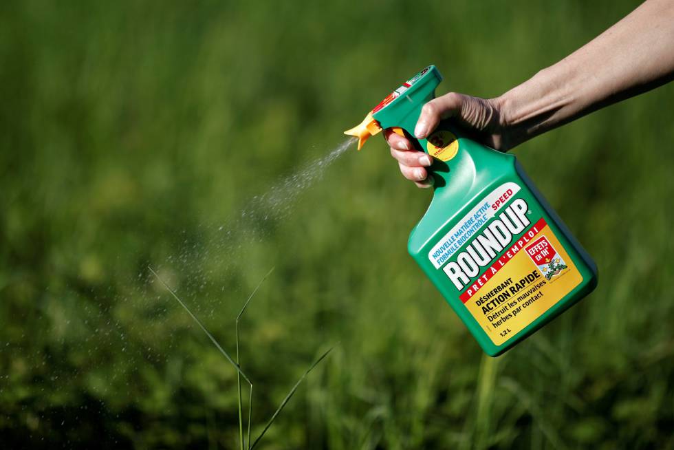 Condena definitiva para Monsanto en EE.UU. por herbicida Roundup