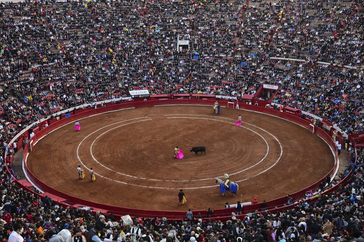 Juez suspende indefinidamente las corridas de toros en la mayor plaza de México