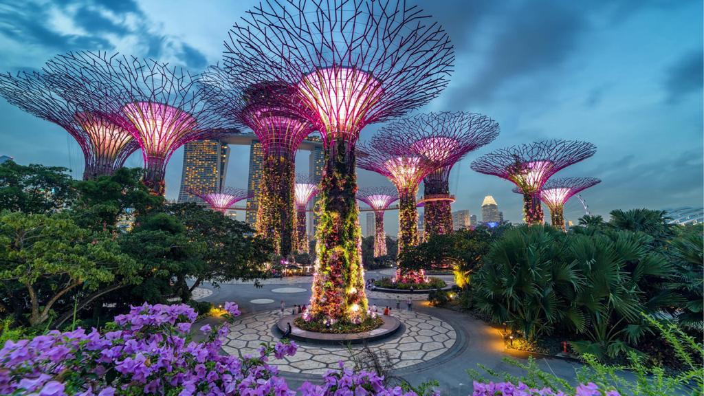 Café, miel, turismo y orquídeas: Costa Rica se promocionará en Singapur por 9 días