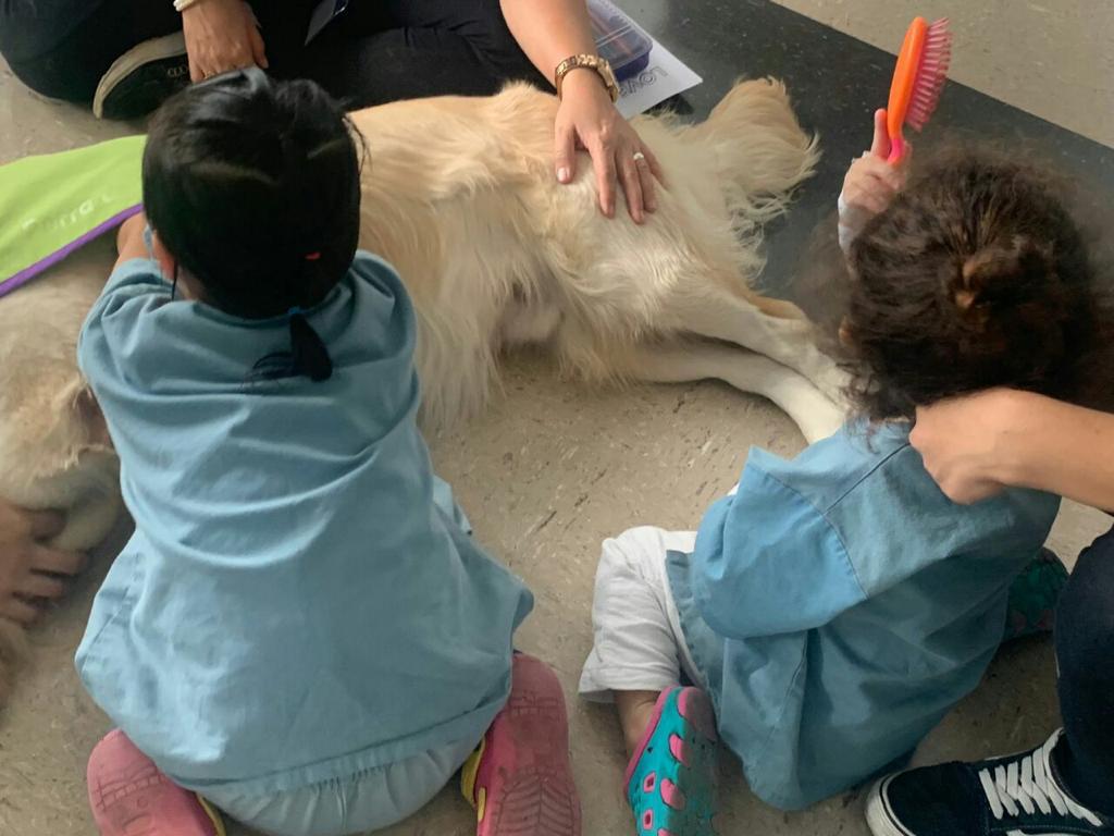 ¡Niños felices! Perros de terapia visitaron a menores internados en hospital de Cartago