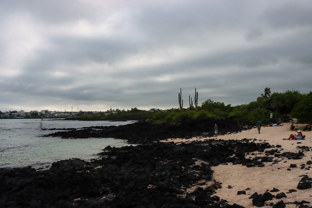 El 99% de los residuos recogidos en Galápagos proviene de Latinoamérica y Asia