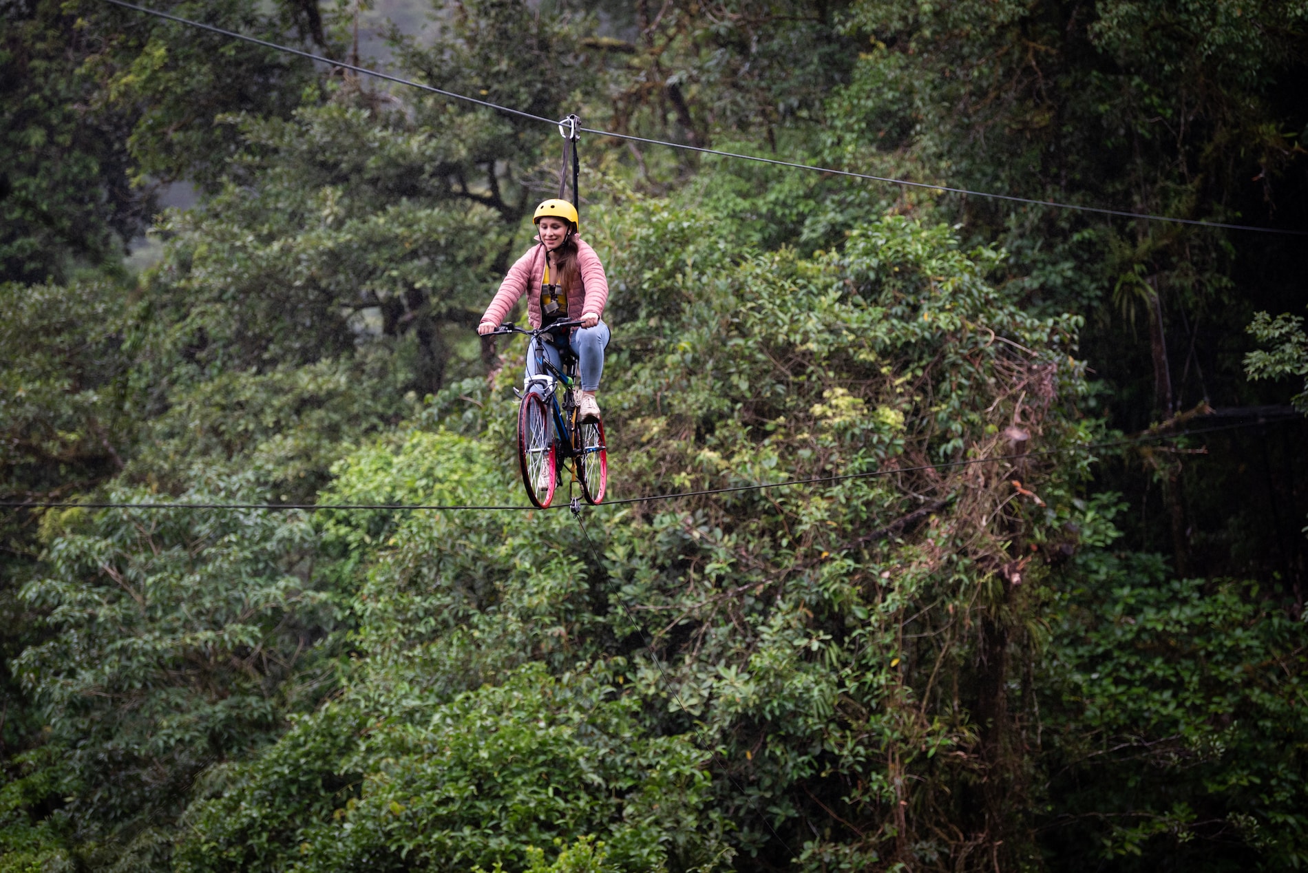 Canopy bicicleta Monteverde