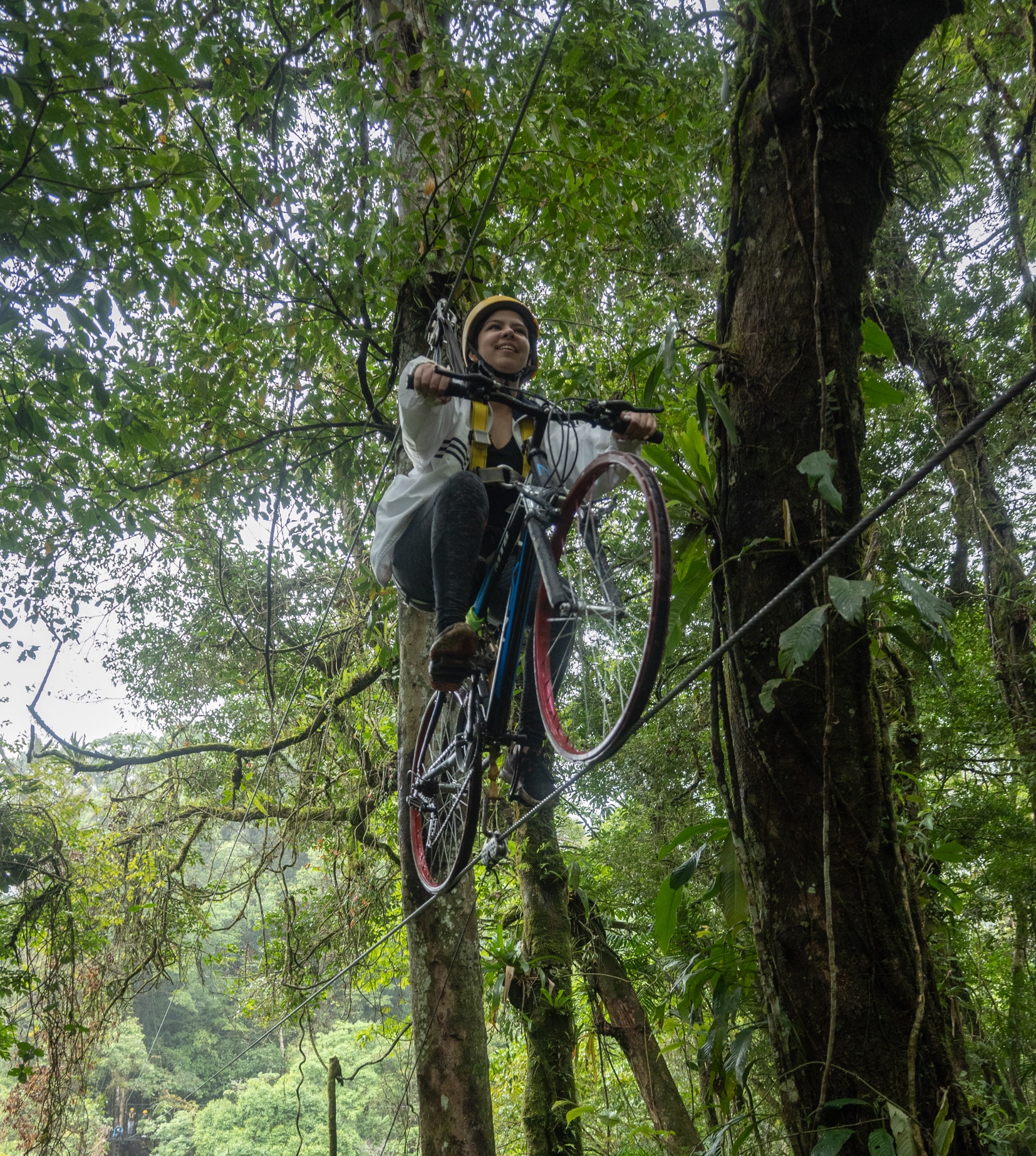 Canopy bicicleta Monteverde