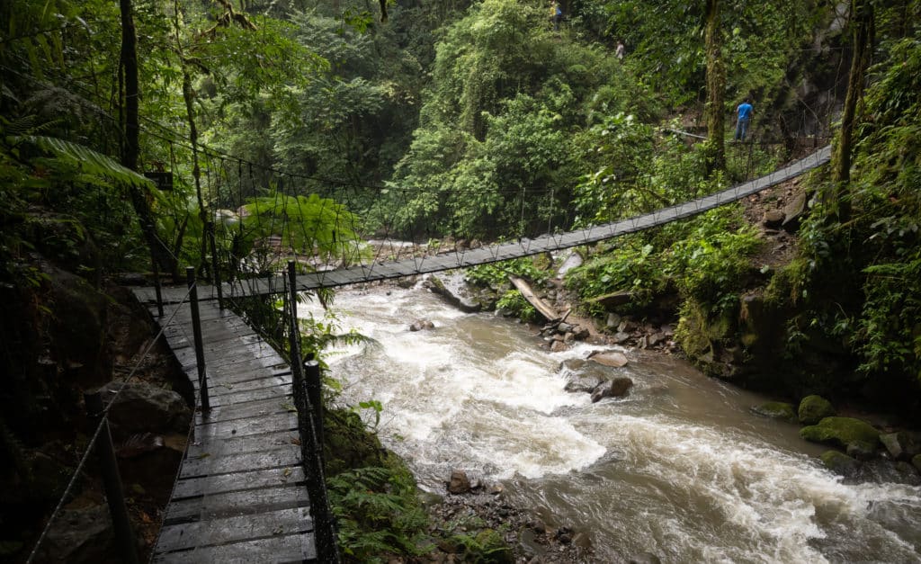 Senderos Monteverde