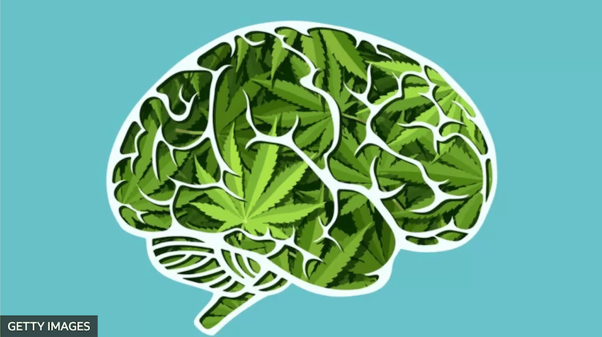Cómo el consumo de marihuana afecta nuestra mente