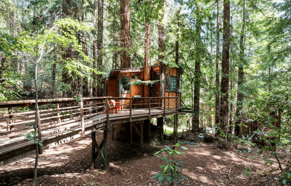 Redwood treehouse - Watsonville, California
