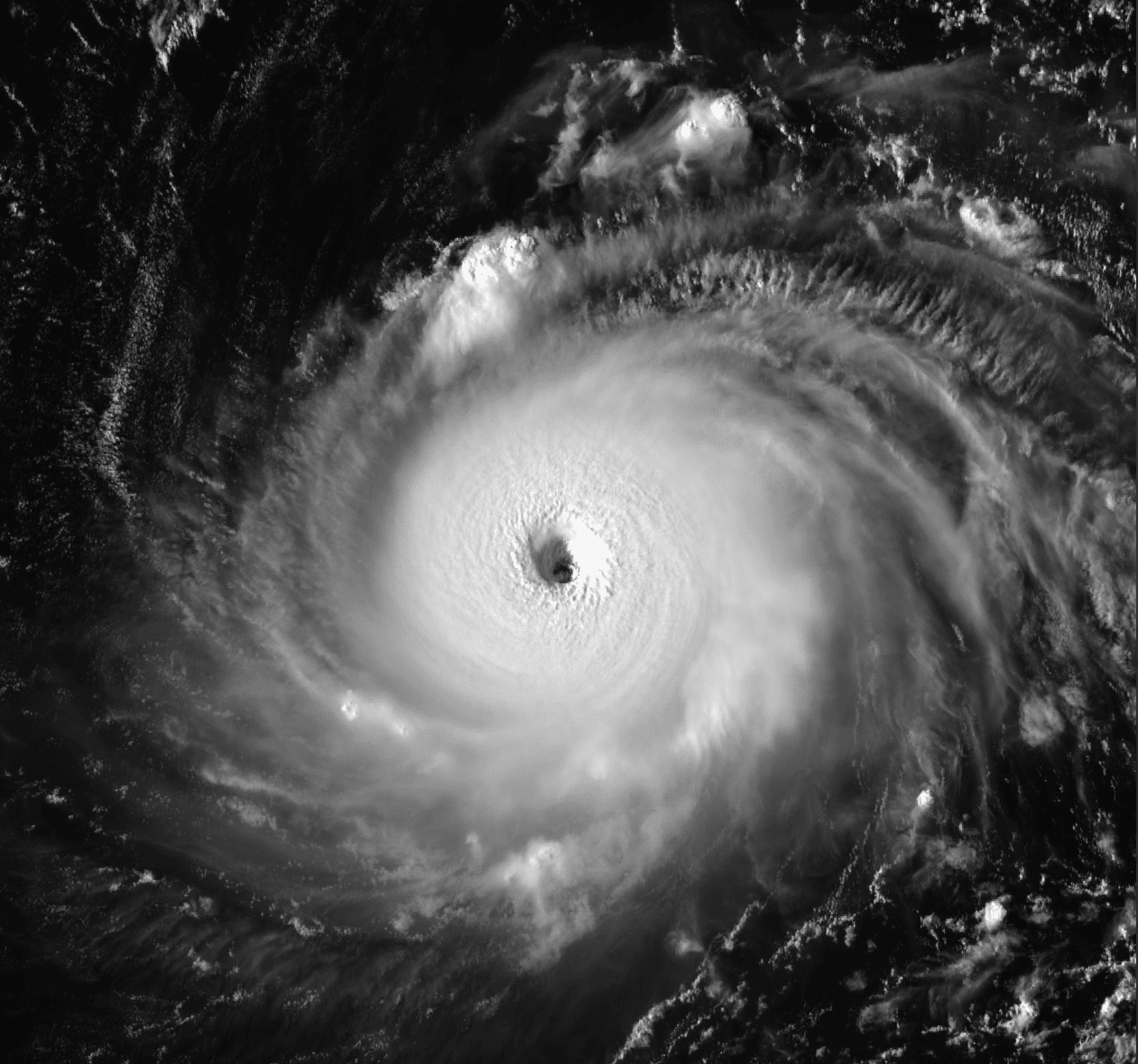 Supertifón Hinnamnor azotará islas del sur de Japón; imágenes muestran magnitud del ciclón categoría 5
