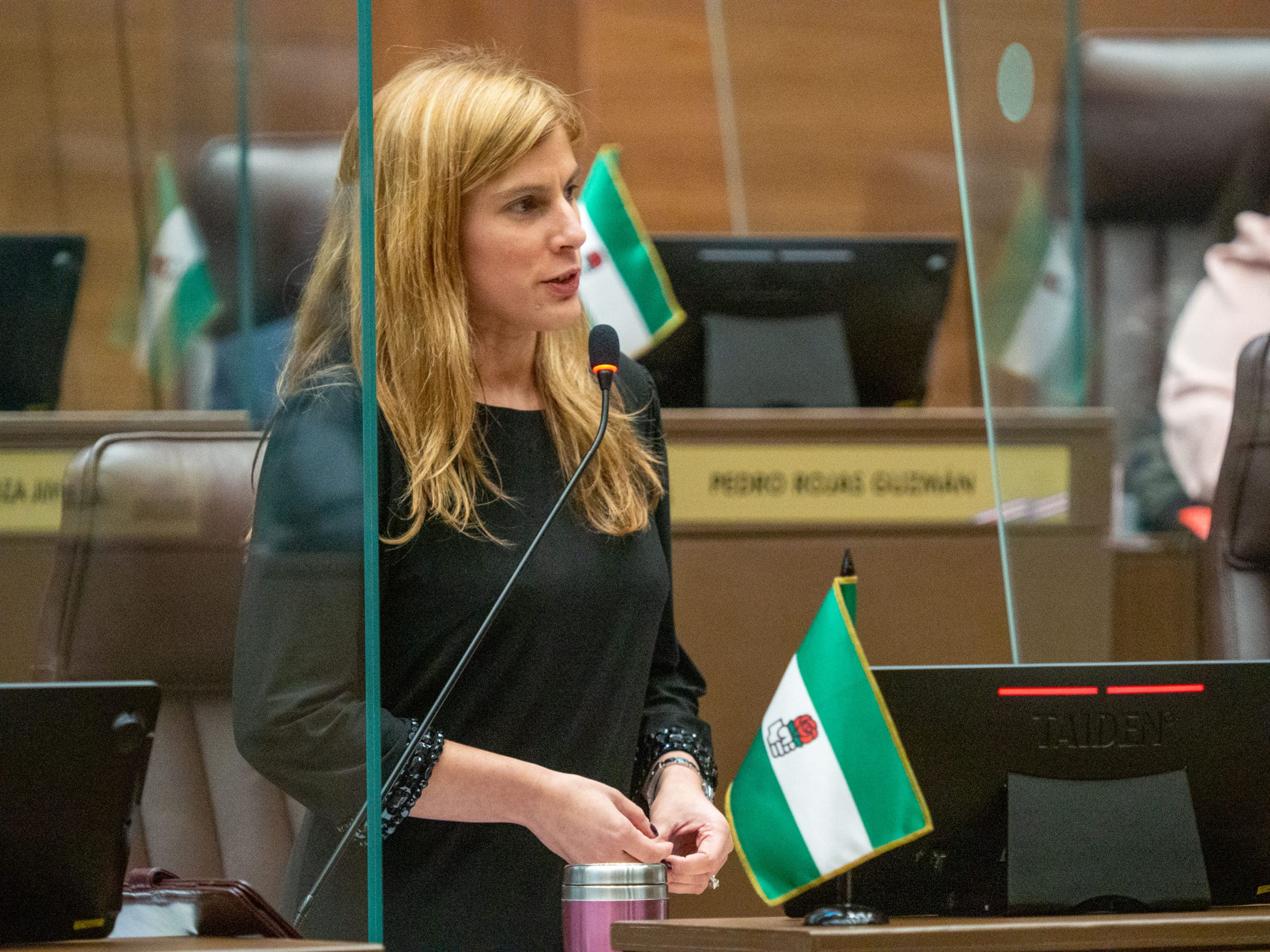 Diputada Andrea Álvarez propone elegir a una mujer como presidenta del directorio legislativo el próximo año
