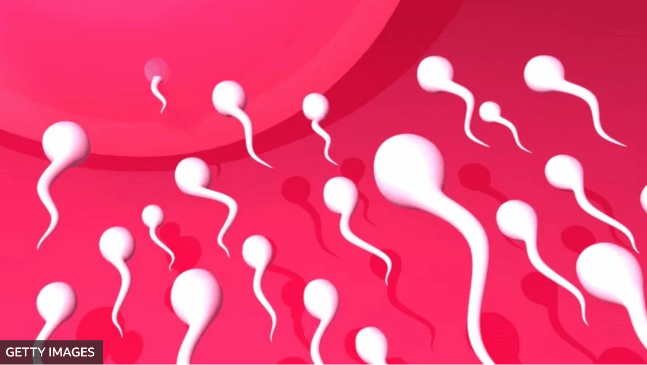 Por qué es un mito el que los espermatozoides nadan frenéticamente hacia el óvulo en la fecundación
