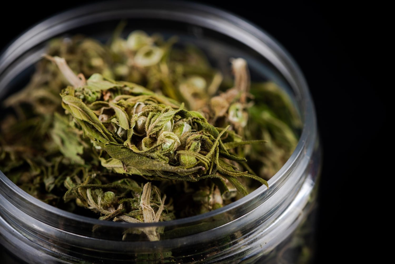 “De por sí, ya casi todo el mundo consume marihuana”, dice ministro de Seguridad por proyecto de ley para legalizar esta droga