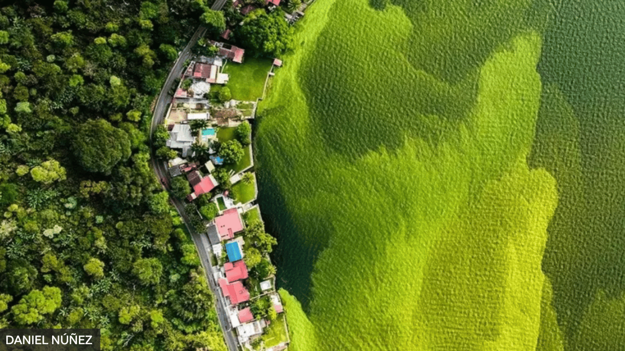 La historia detrás de la foto del lago verde de Guatemala que ganó el equivalente al Oscar de vida silvestre