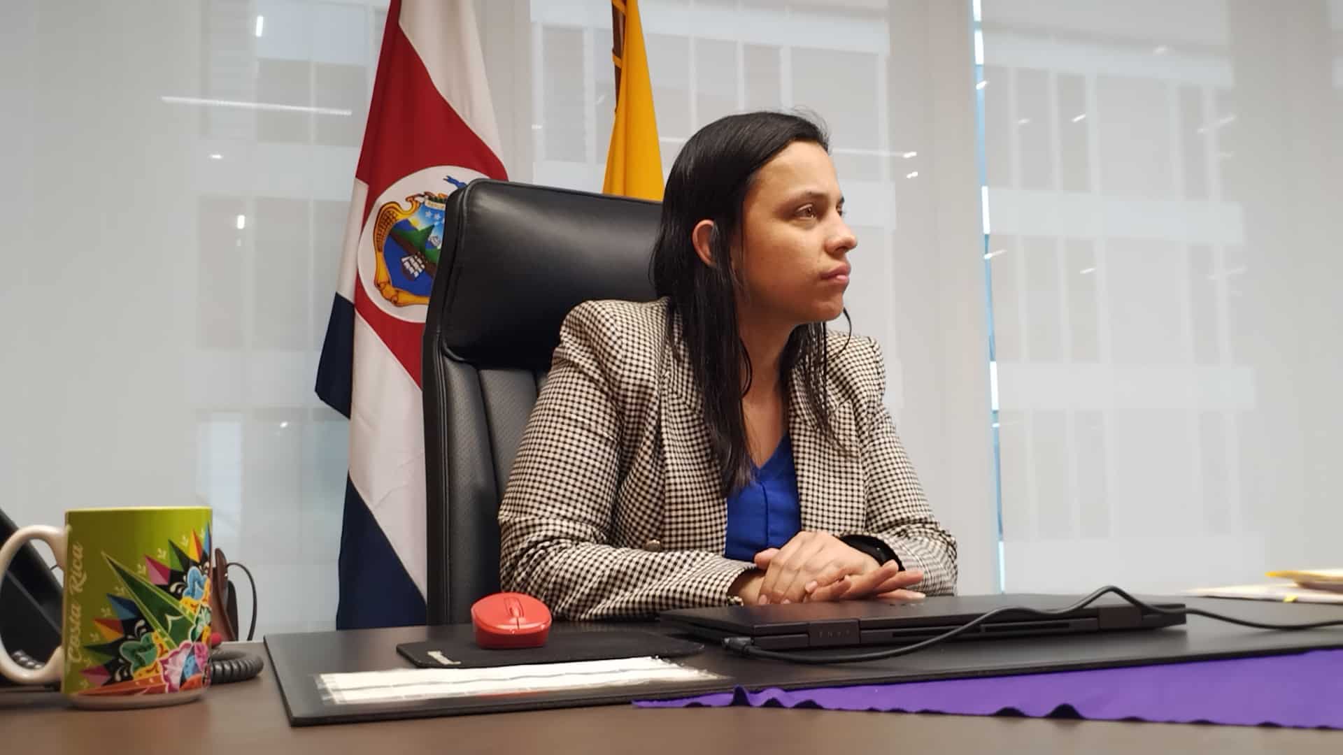 Diputada Sofía Guillén sobre eurobonos: “Gobierno es quien ha entorpecido esa negociación”