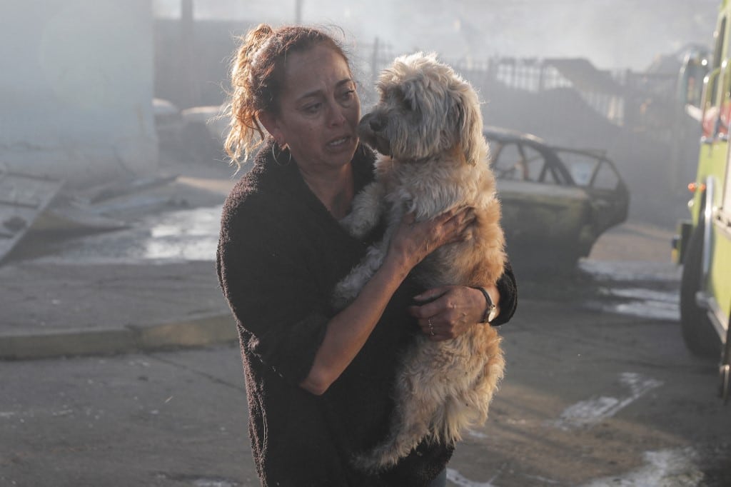 “Está todo quemado”: el trágico saldo que deja un voraz incendio en Viña del Mar