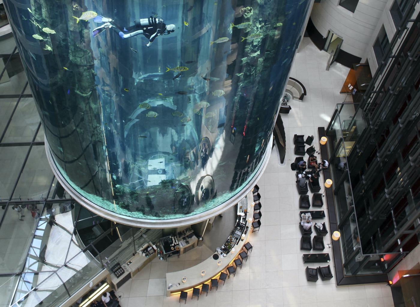 Un acuario gigante estalla en un hotel en el corazón de Berlín; murieron 1.500 peces y otras especies marinas