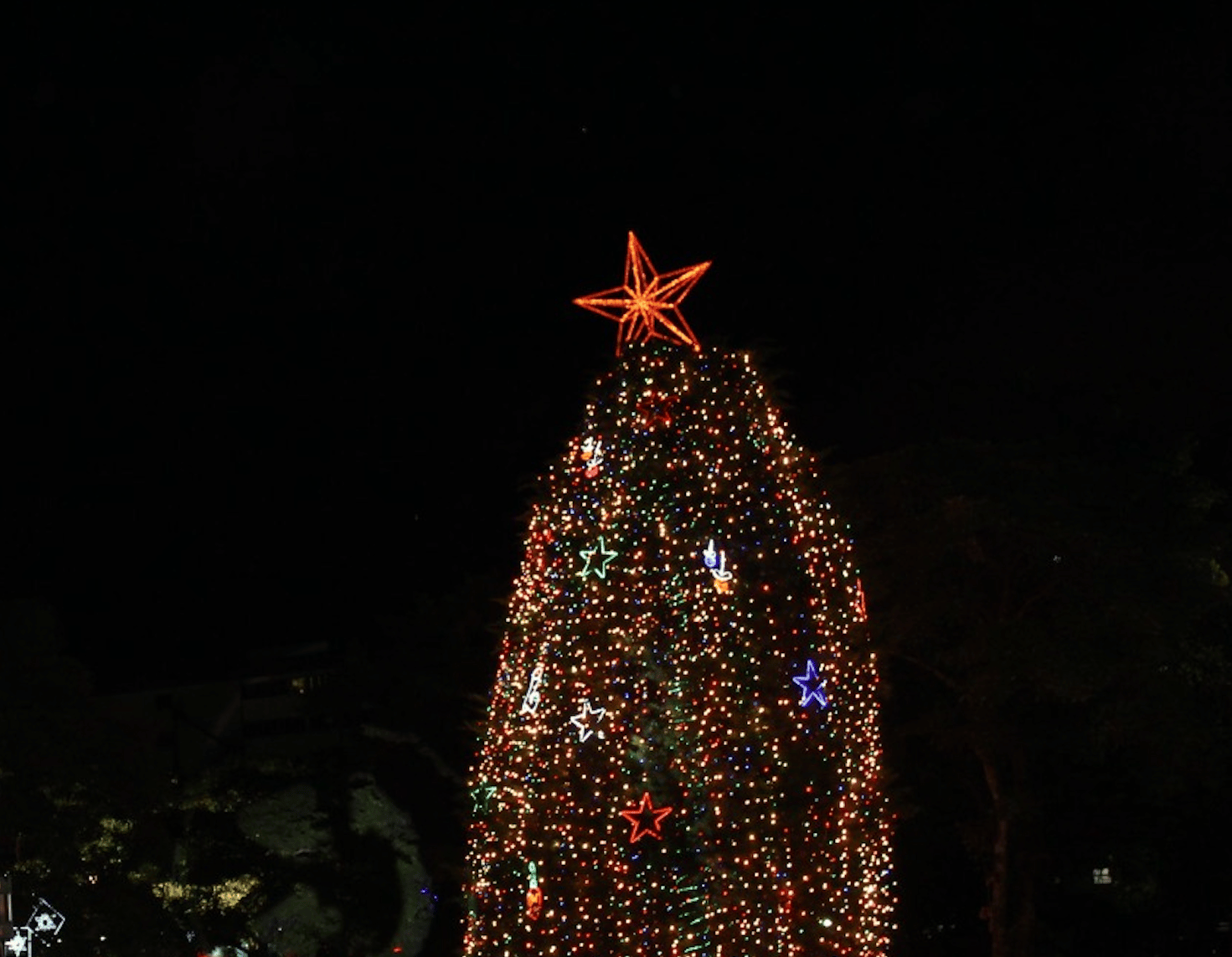 15.000 luces LED iluminarán el árbol de Navidad del hospital de Niños a partir de este jueves