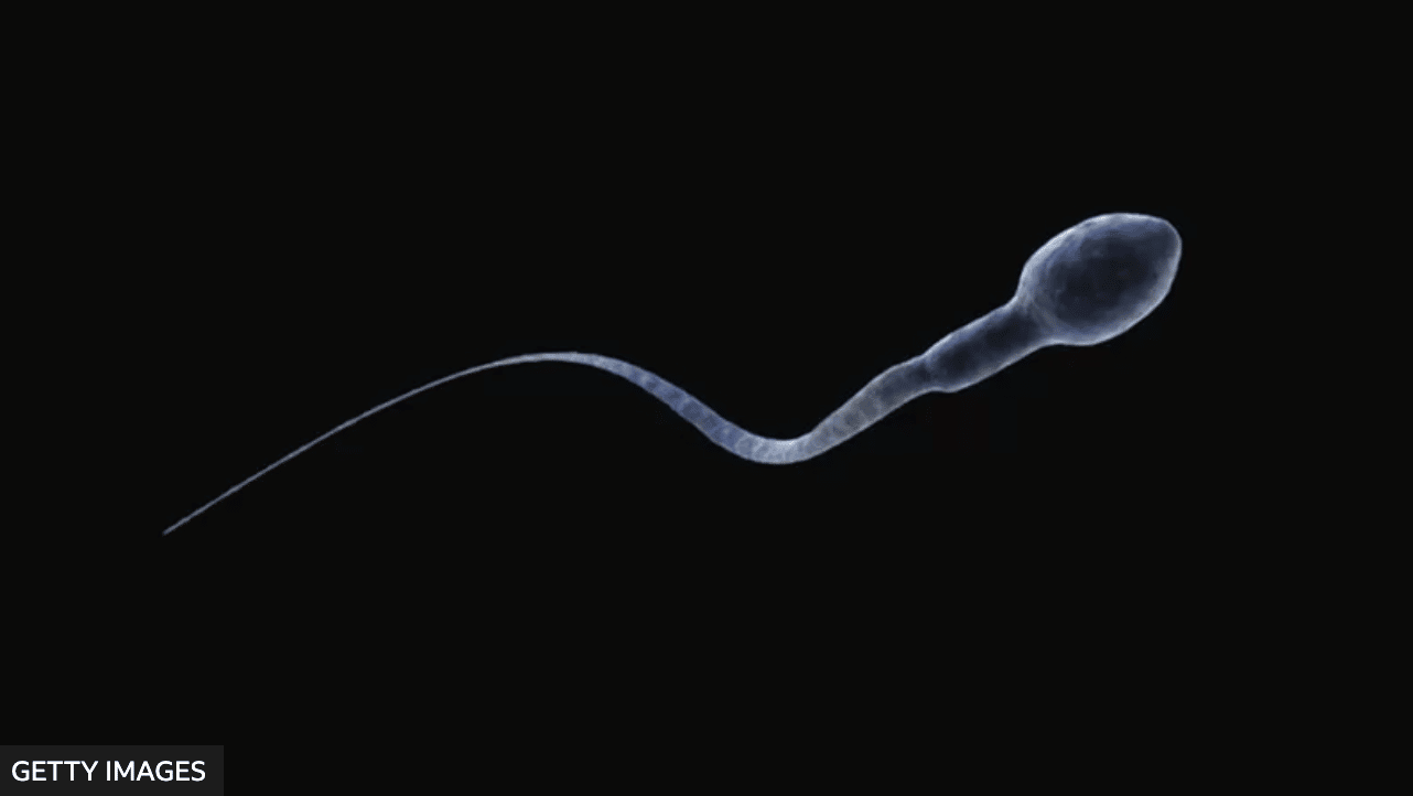 5 razones por las que hay una caída en la cantidad de espermatozoides en todo el mundo