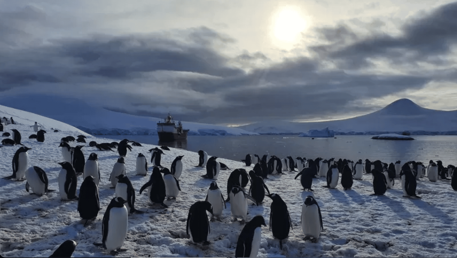 Rodeadas de pingüinos e icebergs: así se pasa la Navidad en la oficina de correos del fin del mundo