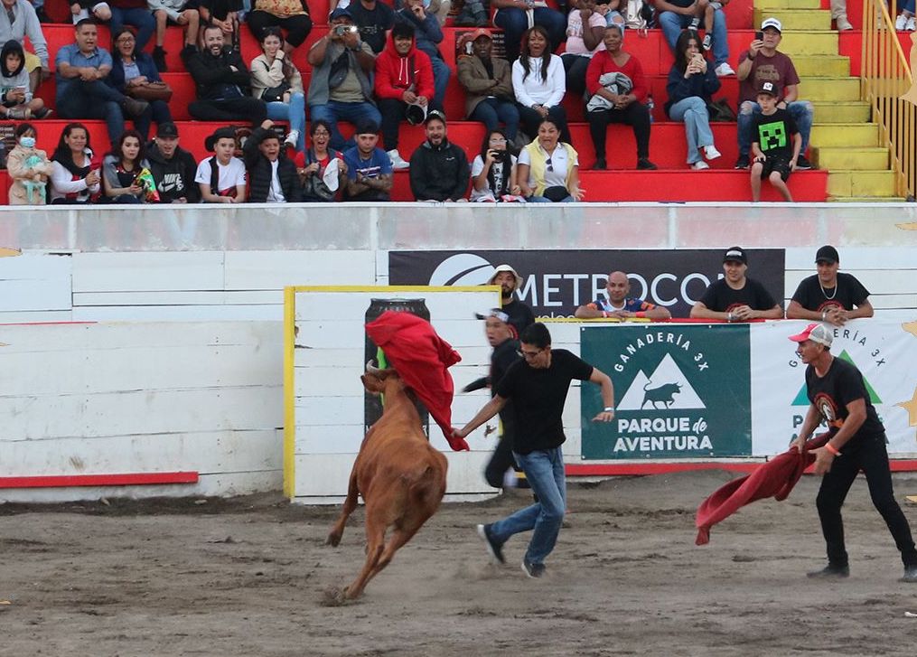 Luis Amador, jerarca del MOPT, se convirtió en ‘torero improvisado’ en Zapote: vea aquí su participación