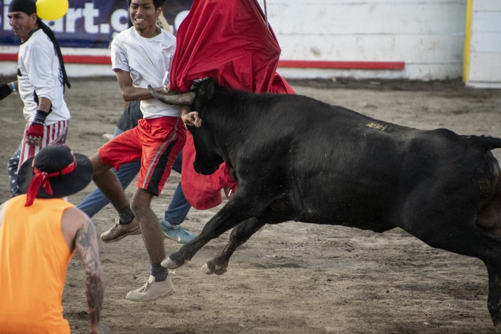 Cerca de 1,4 millones de costarricenses vieron las corridas de toros en los canales 6, 7, 8 y 13