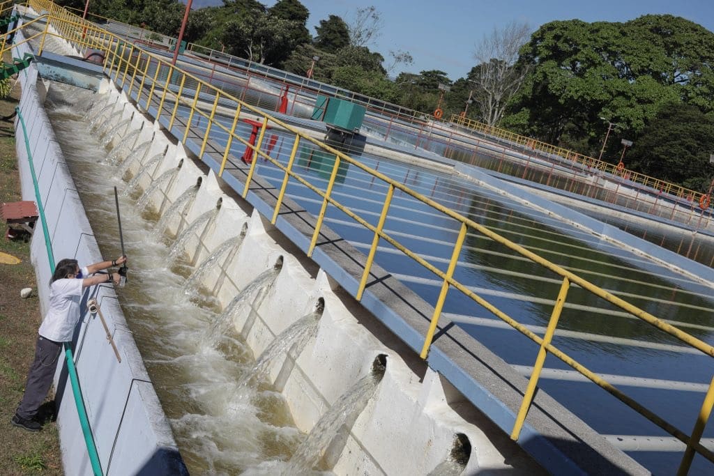 Cinco cantones tendrán cortes de agua este jueves por trabajos de AyA