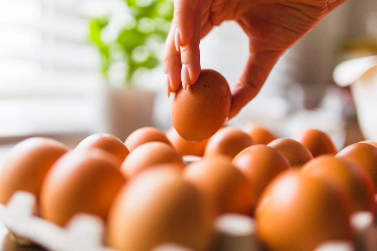 ¿Por qué el kilo de huevo es ¢800 más caro que hace un año y cuánto más podría subir?