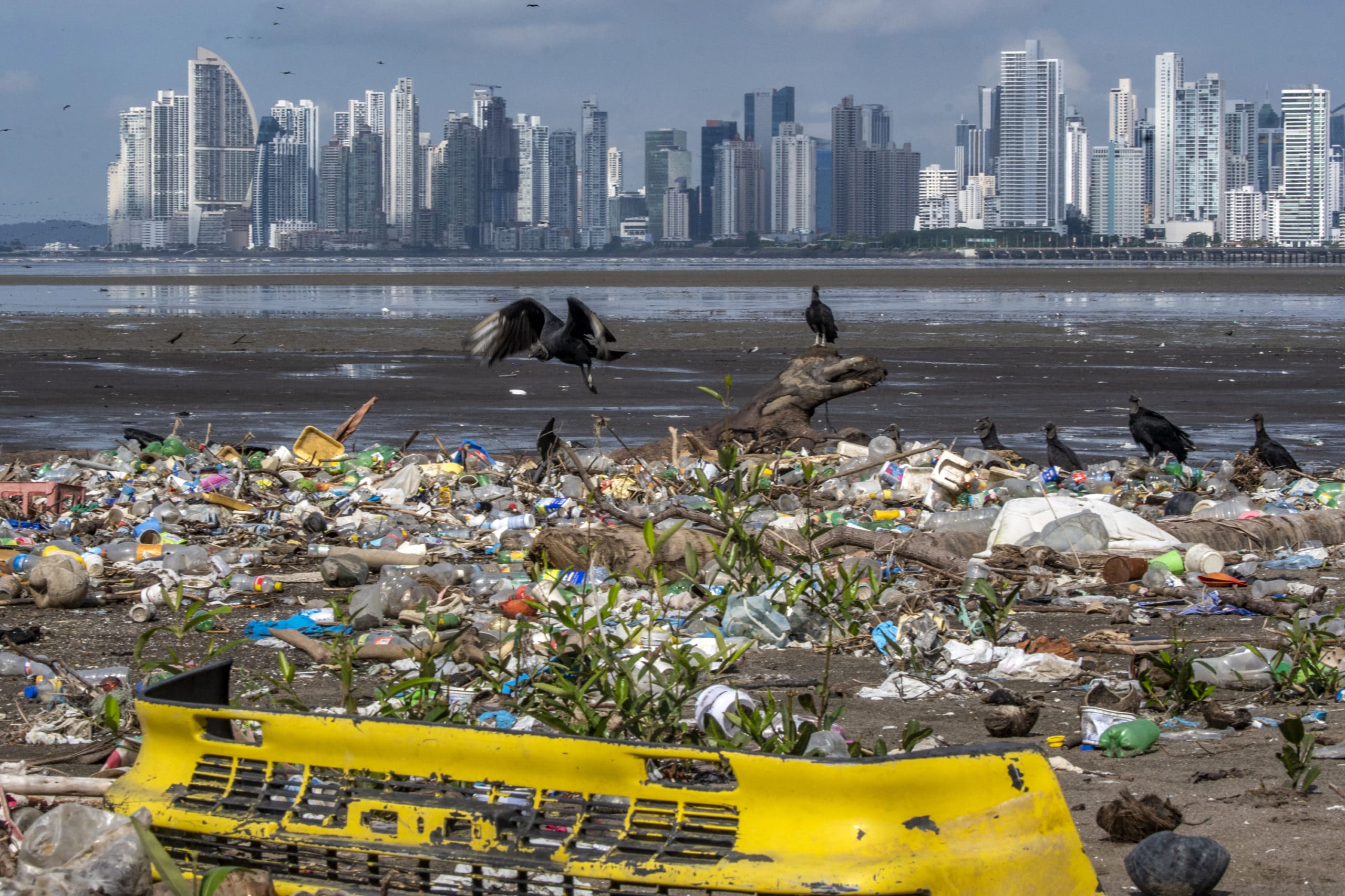 Conferencia mundial en Panamá buscará nuevos compromisos para proteger los océanos
