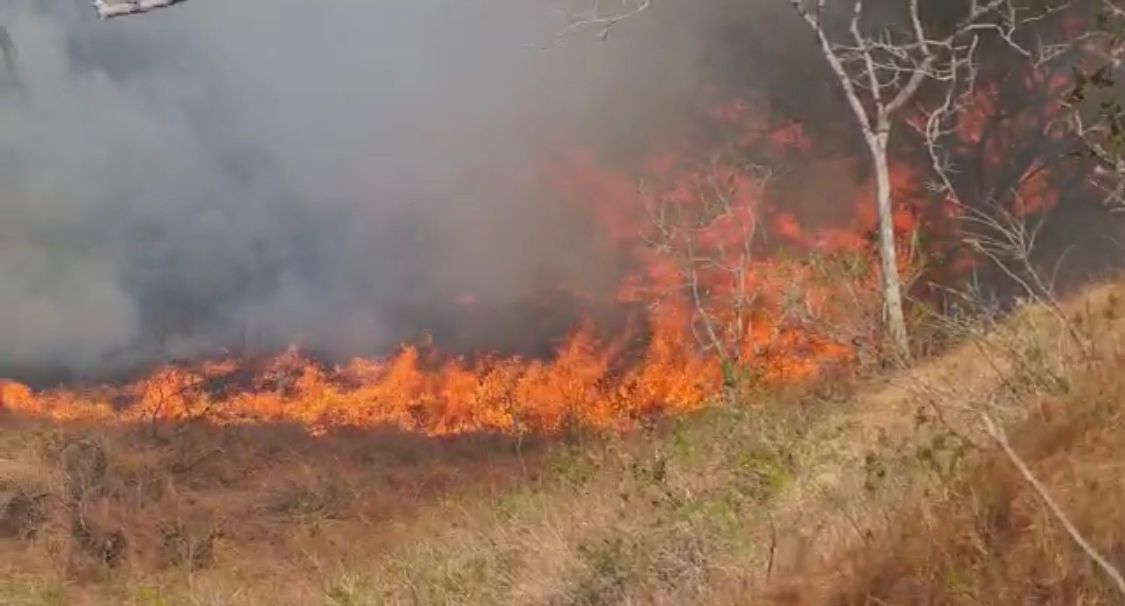Bomberos reporta este martes cinco incendios forestales activos en Guanacaste y Puntarenas