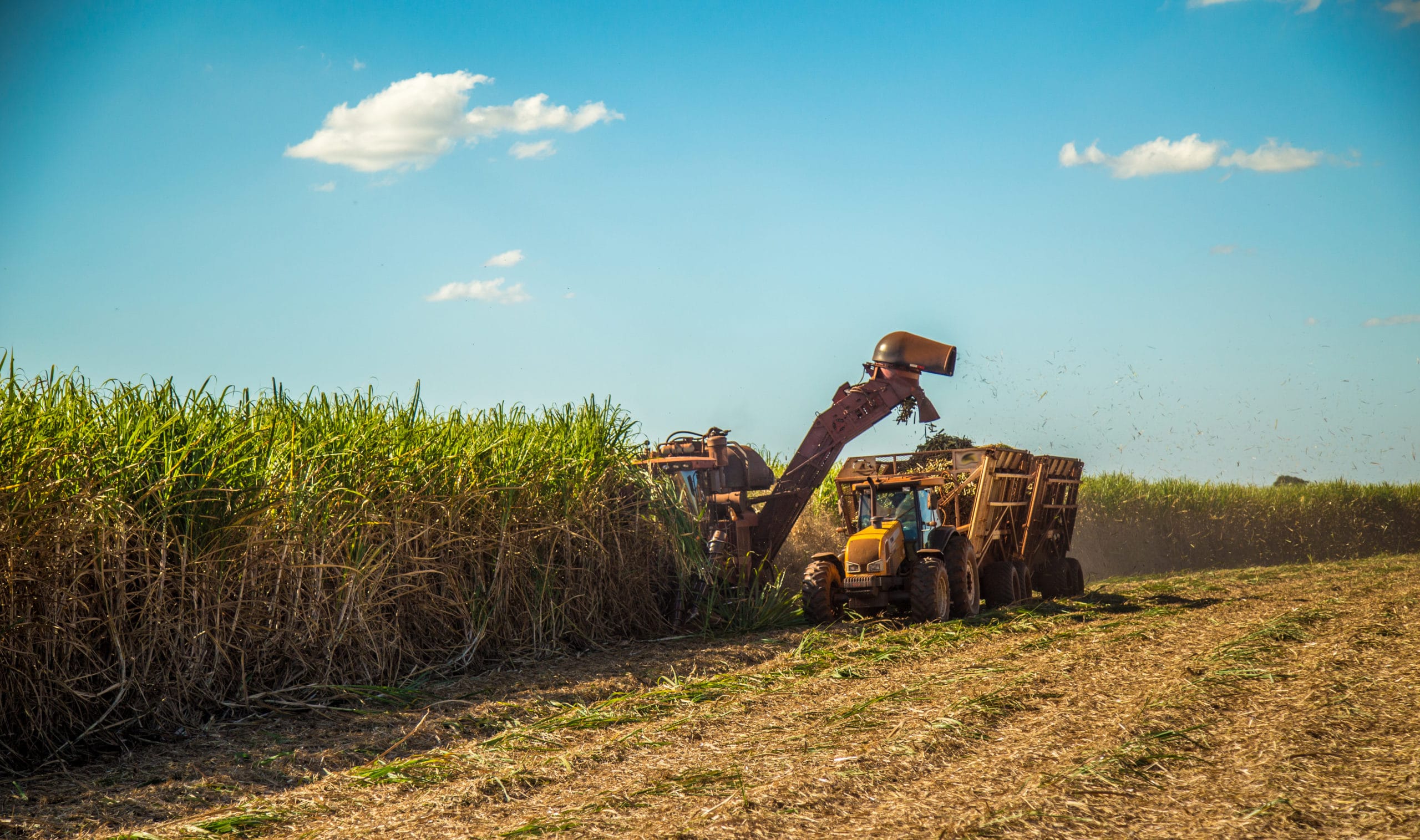 Crecimiento de la agroindustria y el turismo en Costa Rica generaría “importante impulso” a la economía, dice informe del BID