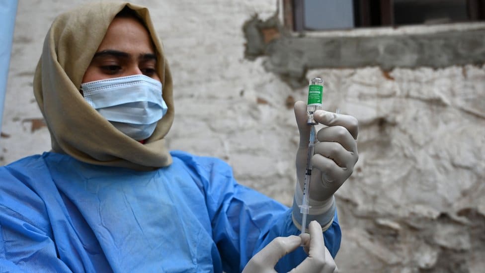Científicos proponen una manera “más eficiente” para descubrir y prevenir pandemias
