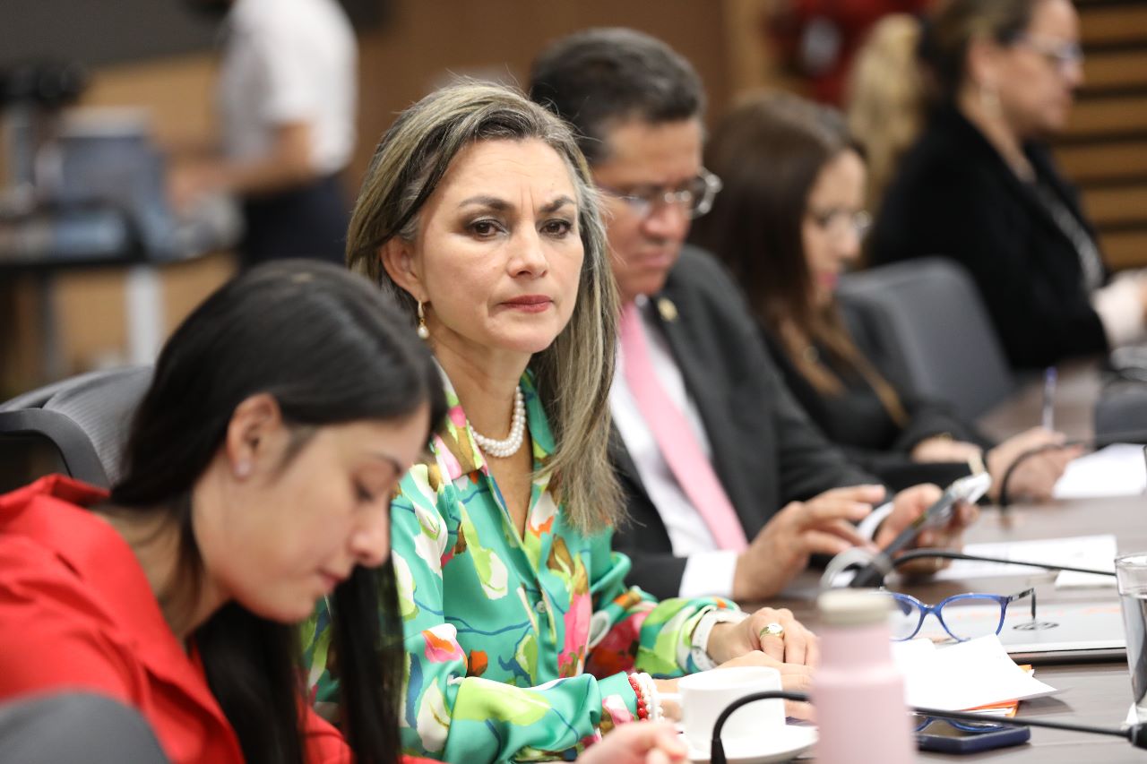 Nombramientos en comisiones legislativas provocan diferencias en el PLP entre diputadas Kattia Cambronero y Cynthia Córdoba