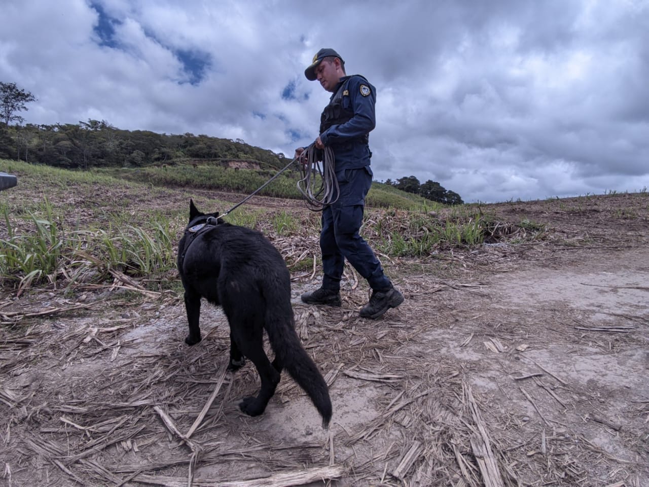 OIJ continúa búsqueda de bebé desaparecida con perro entrenado para olfatear restos humanos