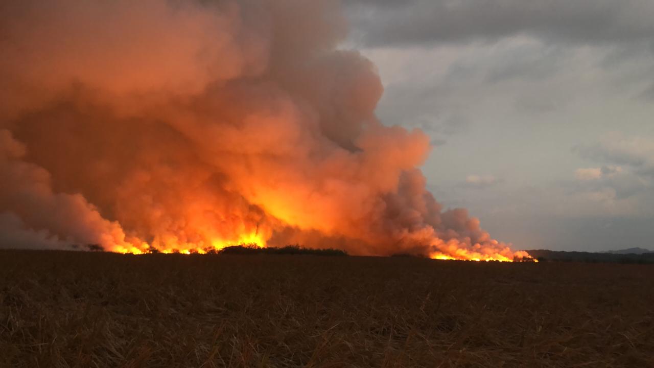 Cuerpo de Bomberos contabiliza 11 incendios forestales este año; 571 hectáreas afectadas