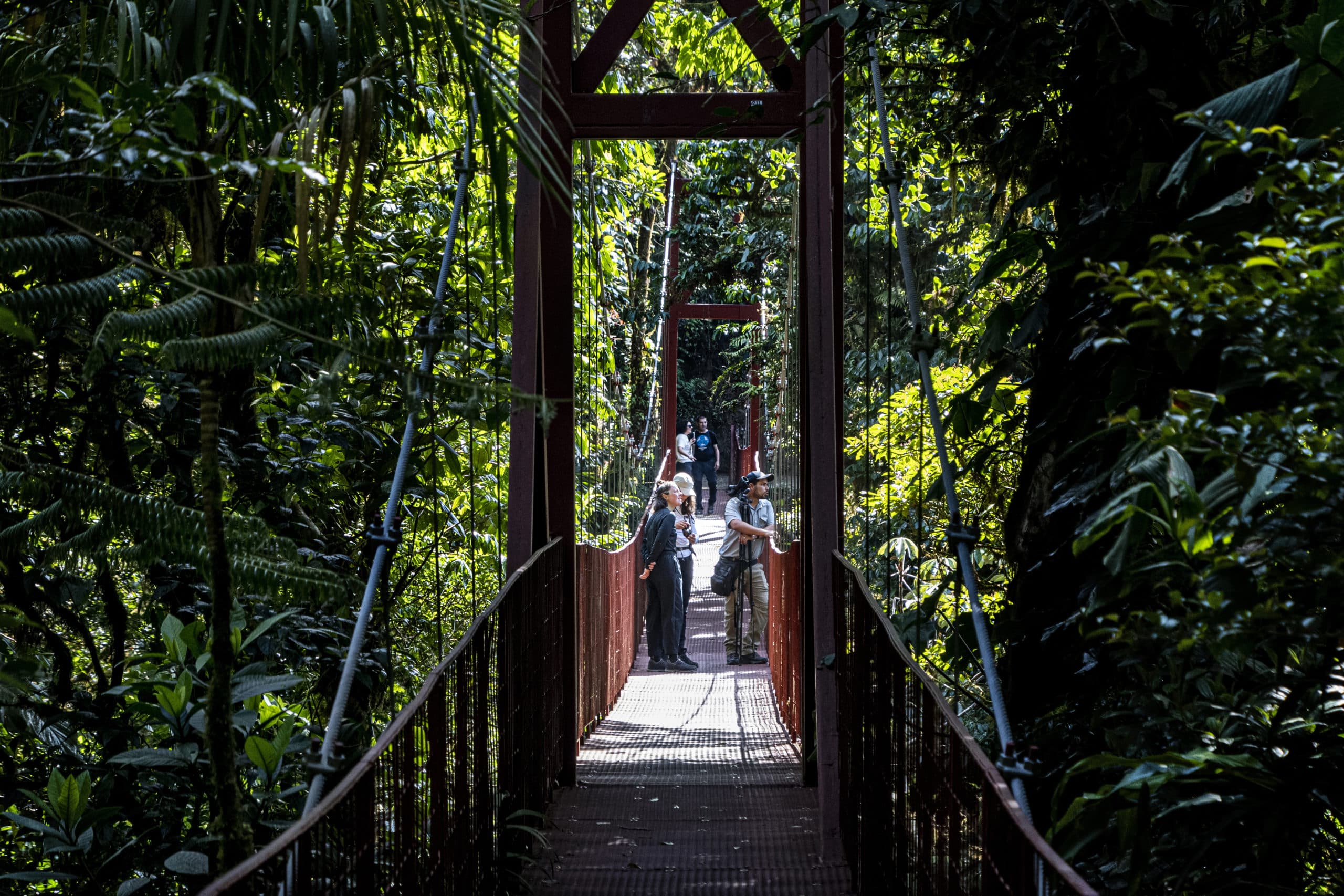 El cambio climático disipa el bosque nuboso de Monteverde en Costa Rica