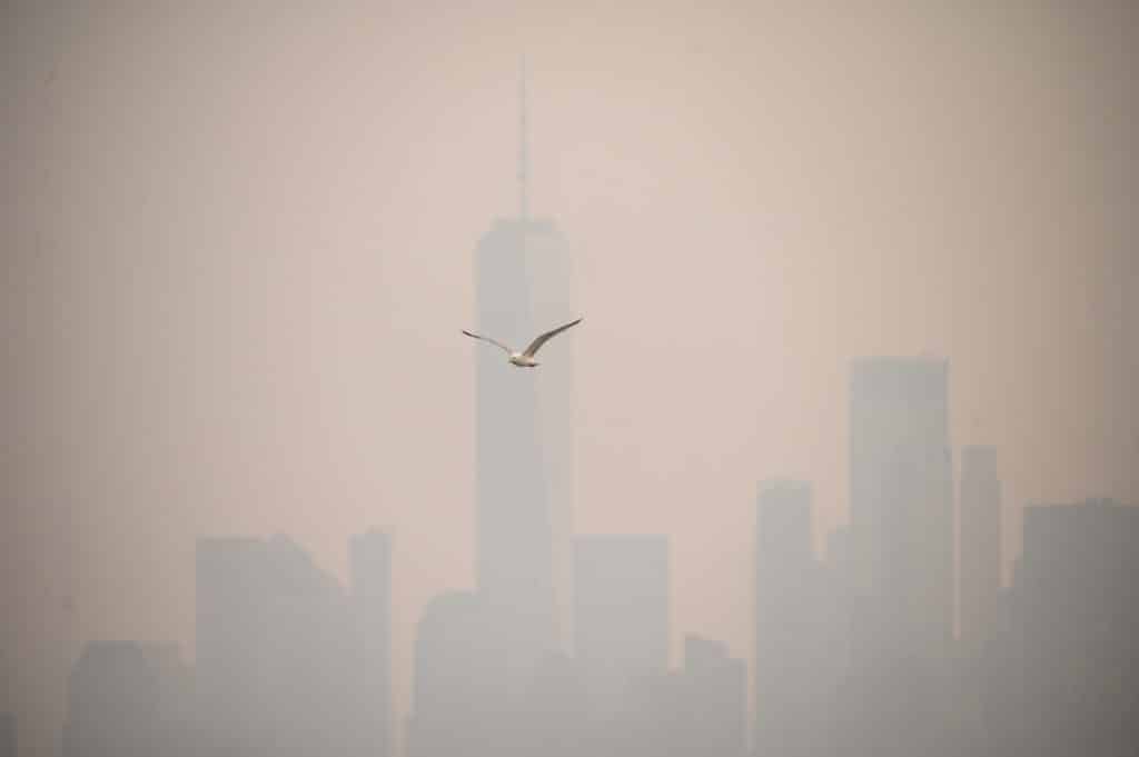 Nueva York cubierta de humo incendios Canadá AFP