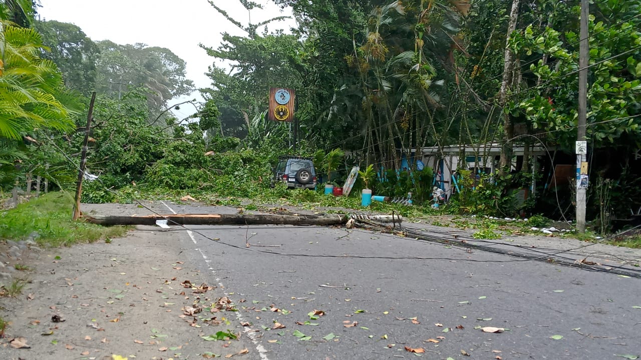 Cortes de luz, caída de árboles y calle cerrada: las consecuencias de lluvias y vientos de las últimas horas