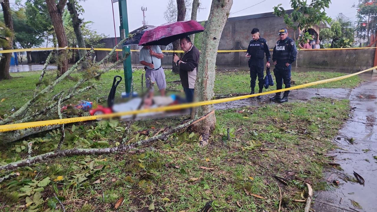 Caída de árbol por fuertes vientos mata a niño de 4 años y deja herida a su mamá en Cartago; CNE reporta 20 incidentes