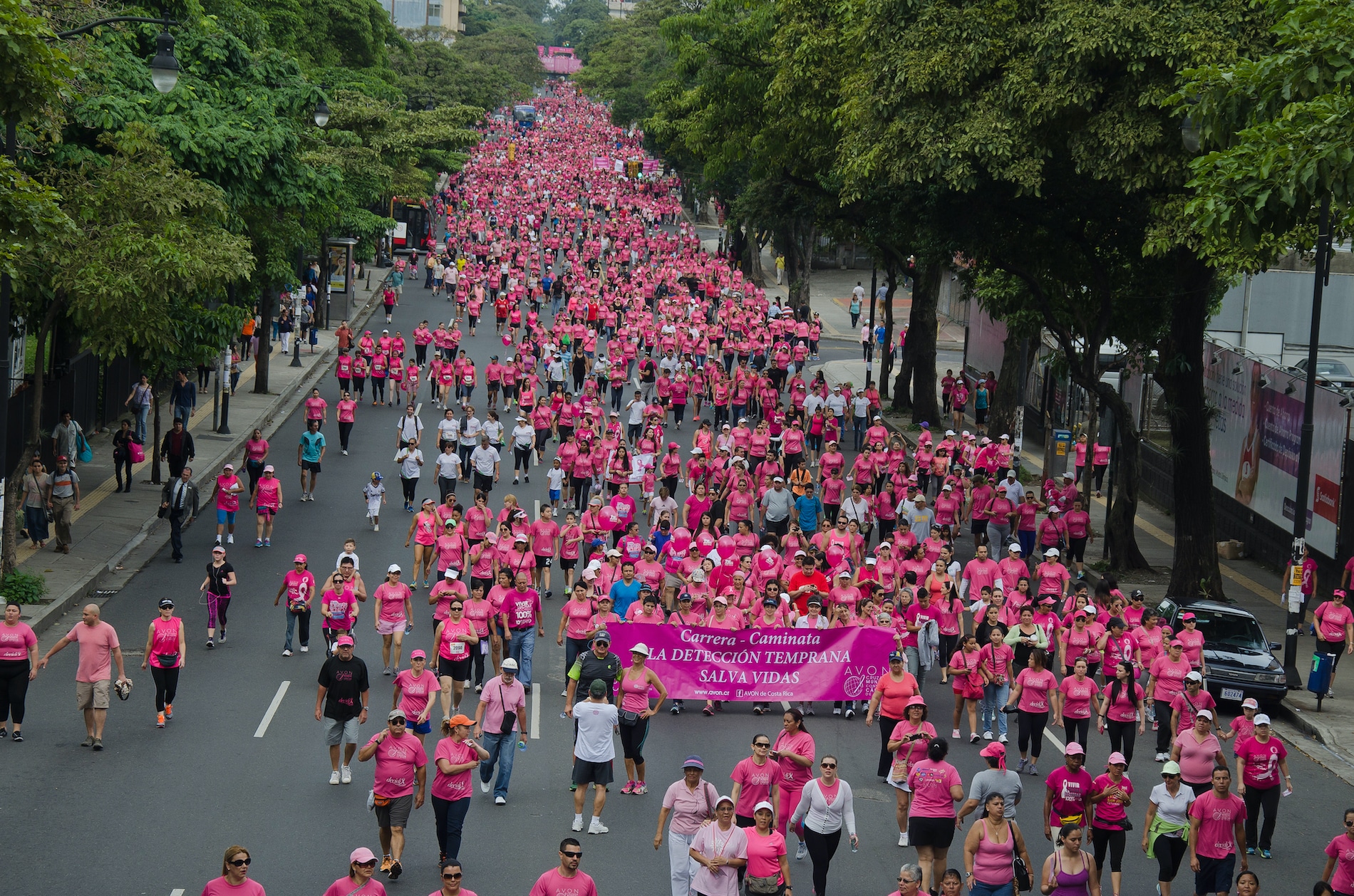 Caminata AVON cáncer de mama
