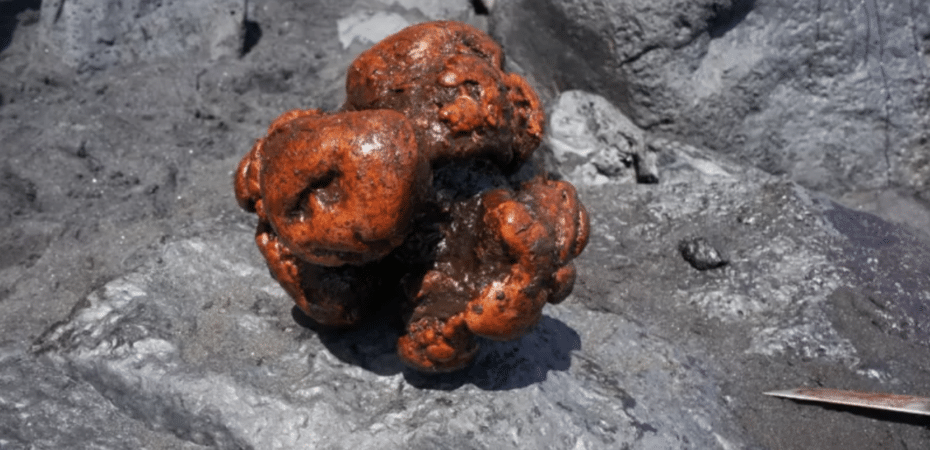 La piedra “valorada en $500.000” que encontraron dentro de un cachalote muerto en España