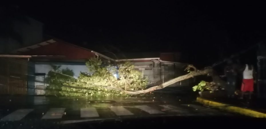 Ruta 32 cerrada, daños en hospital y caída de árboles dejó paso de tormenta en Limón