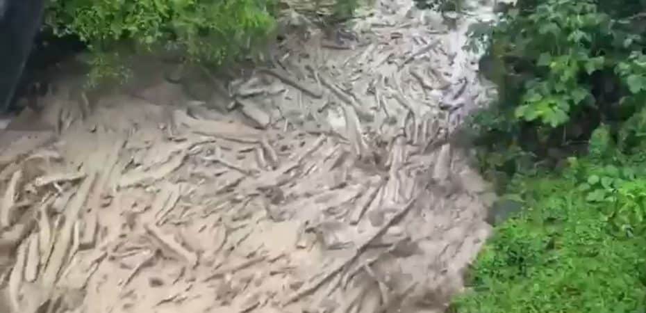 Cuatro comunidades en alerta: fuertes lluvias generaron nuevo desprendimiento de tapón en río Aguas Zarcas