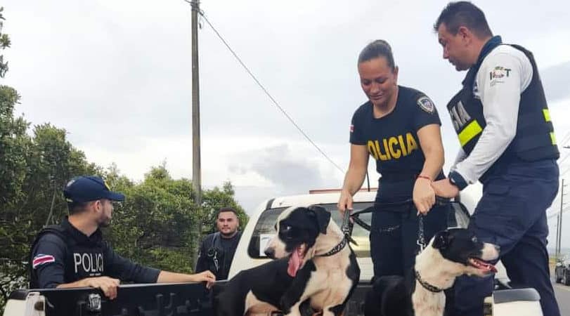 Video | Fuerza Pública rescata a dos perros que estaban amarrados a un árbol a la orilla del estero de Puntarenas