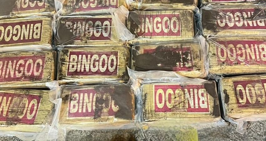 Policía decomisa 462 kilos de cocaína transportados en contenedor con destino a Portugal
