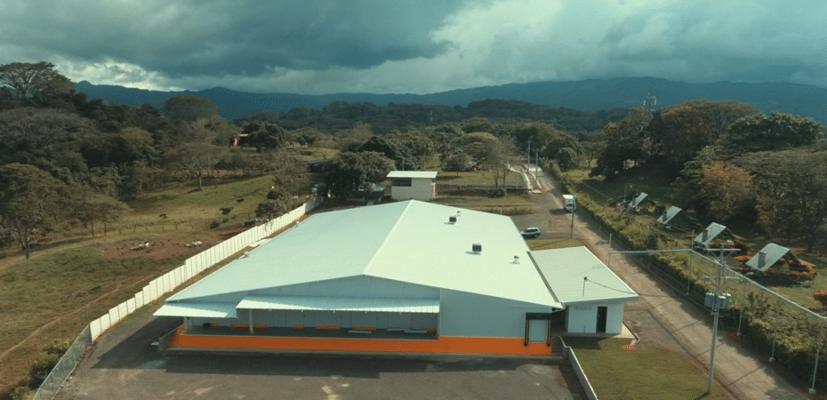 Empresa guatemalteca CMI amplía operaciones en Costa Rica al adquirir planta avícola