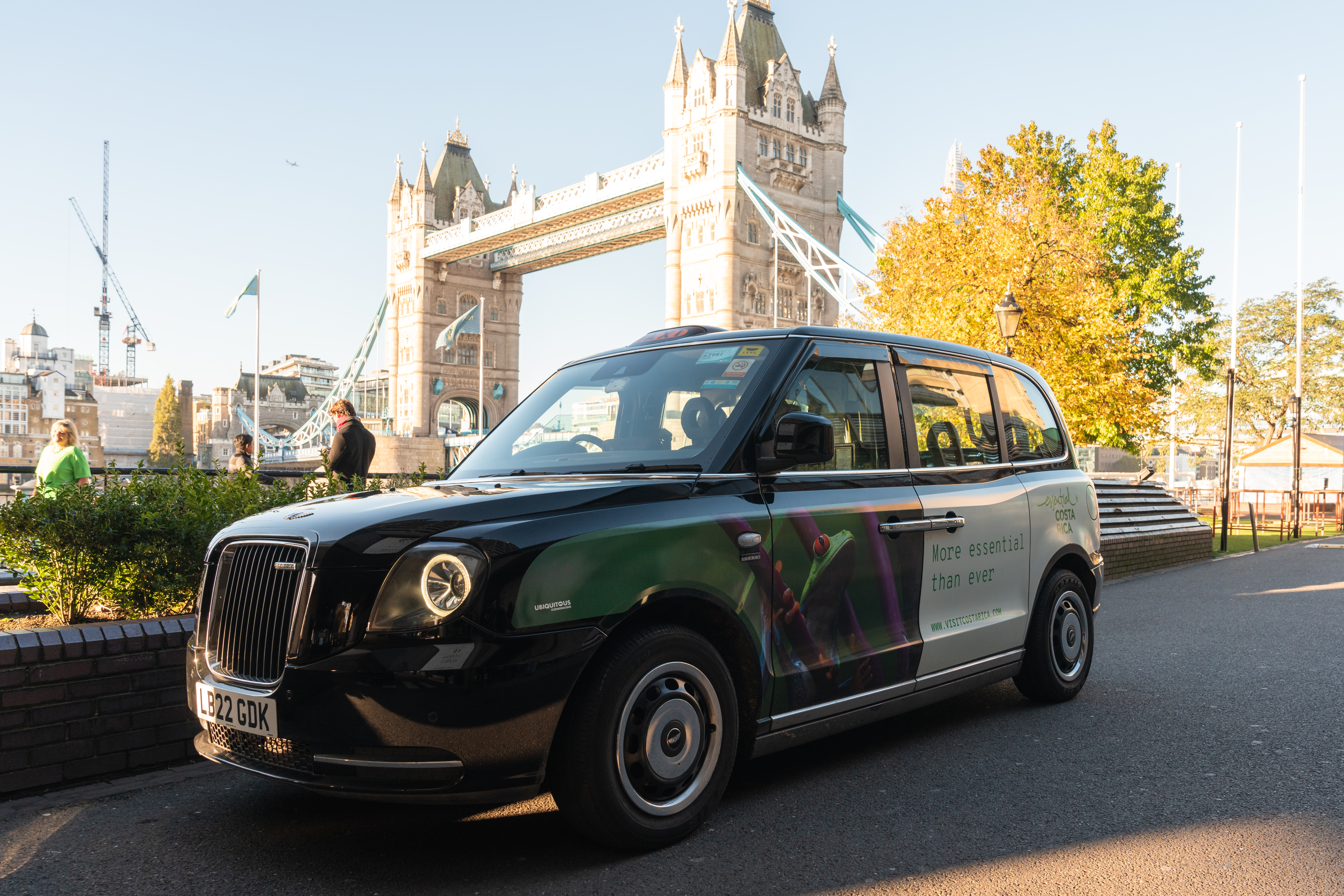 Ranas de Costa Rica se suben a los taxis de Londres en busca de turistas