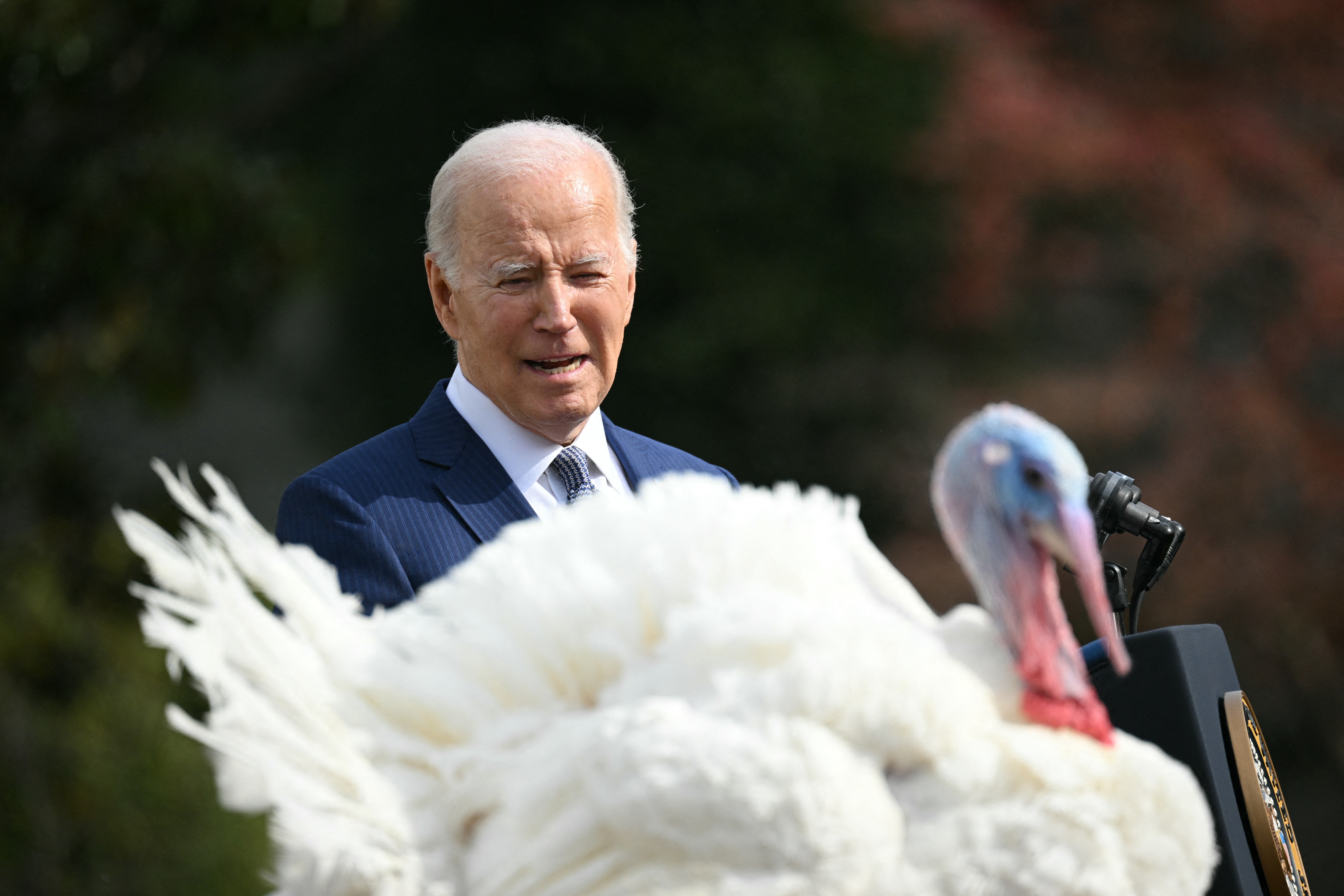 Joe Biden pavo Acción de Gracias