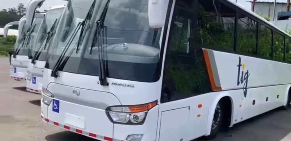 Tribunal Contencioso avala cambio de operador en buses entre San José y varias zonas de Guanacaste