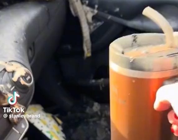 Vaso térmico resiste incendio de carro en EE.UU. y dueño de la marca le dará vehículo nuevo a dueña