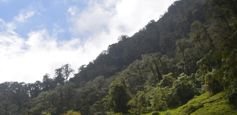 Cobros asociados al ambiente ya generan 10% de ingresos tributarios de Costa Rica