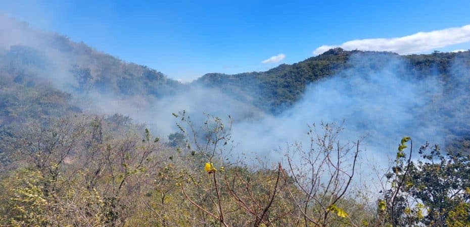 Incendio forestal en Talamanca afectó seis viviendas, informaron los bomberos